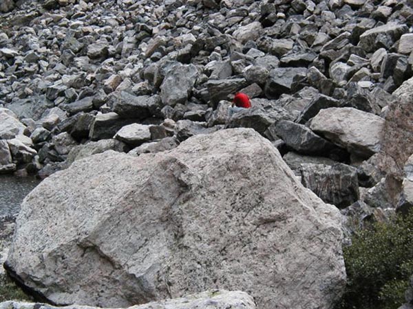 CurtHidingfromMarmot